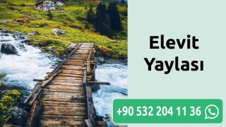 Elevit Yaylası